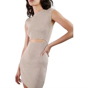 NWOT Wilfred Free Aritzia XS Beige Cut-out Knit Mini Dress